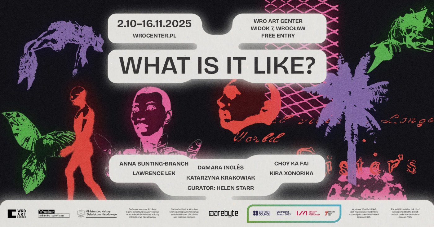 What Is It Like? - exhibition