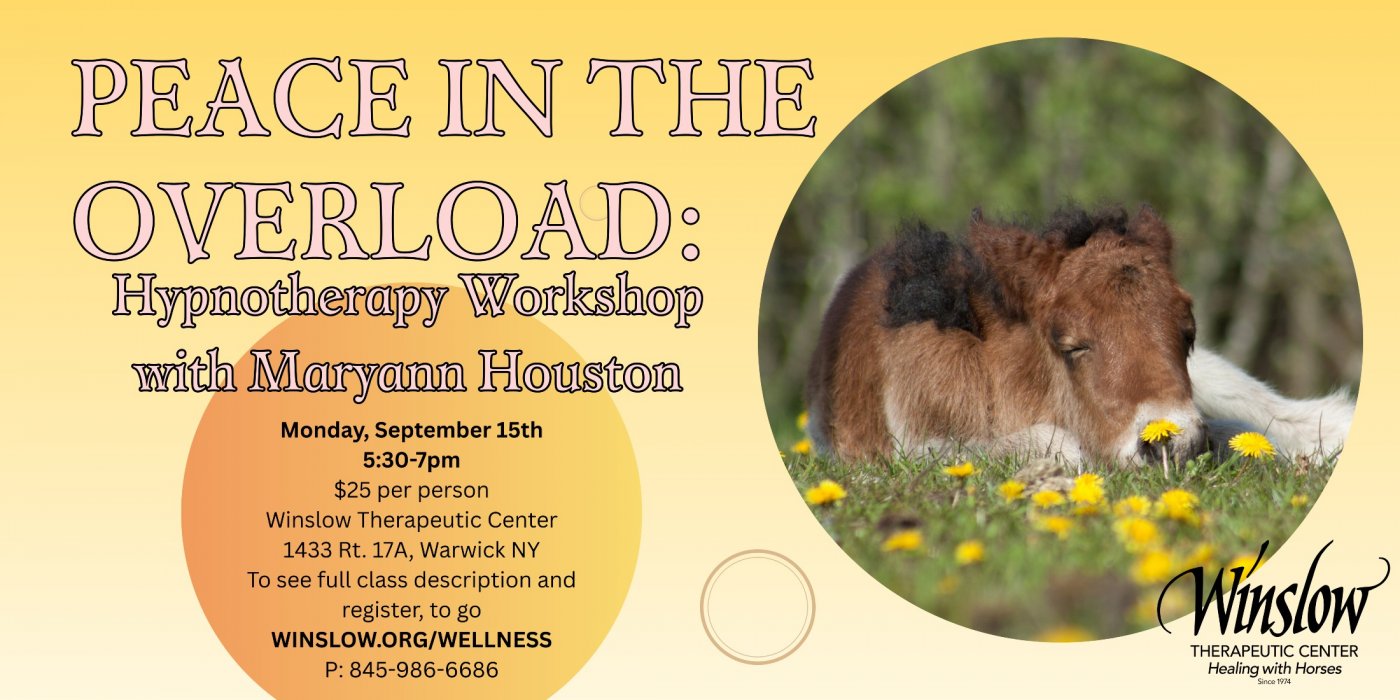 Peace in the Overload: Hypnotherapy Workshop