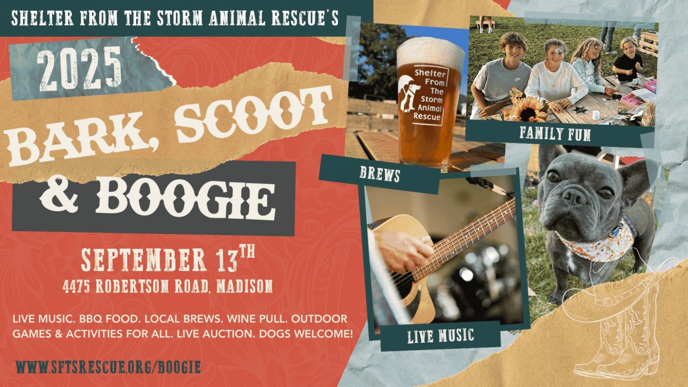 Bark, Scoot & Boogie