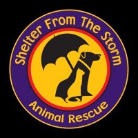 Shelter From the Storm Animal Rescue