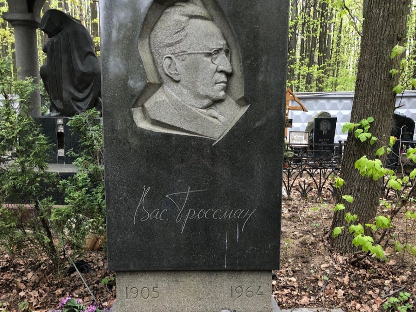 Vasily Grossman After Life and Fate with Robert Chandler