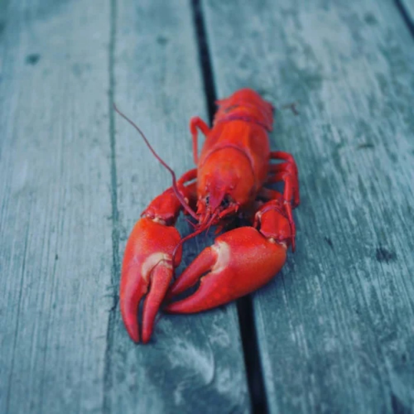 Maine by the Sea \u2013 A Coastal Escape
