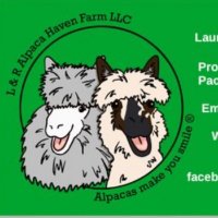 L&R Alpaca Haven Farm LLC