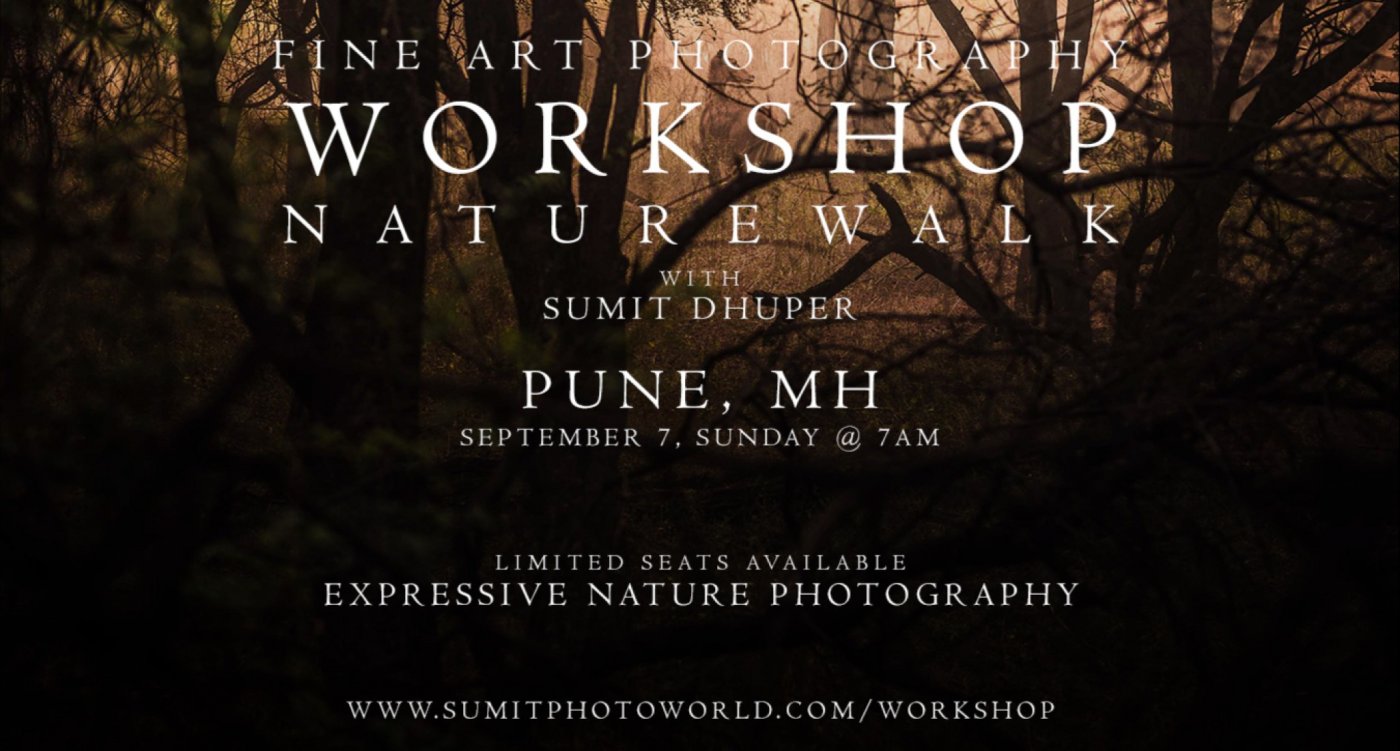 Nature Photography Workshop