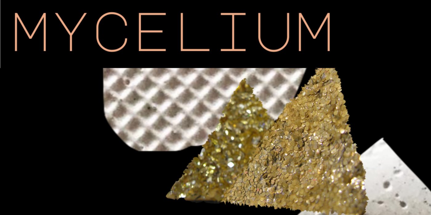 MYCELIUM: A New Group Show