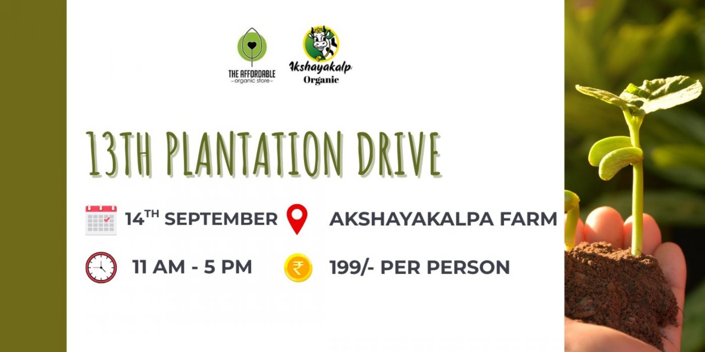 13th Plantation Drive