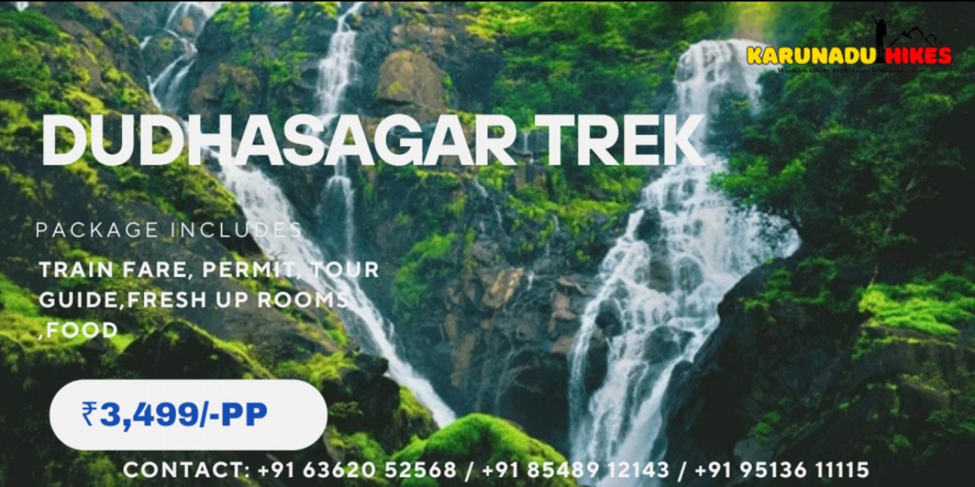 DUDHSAGAR JUNGLE TREK