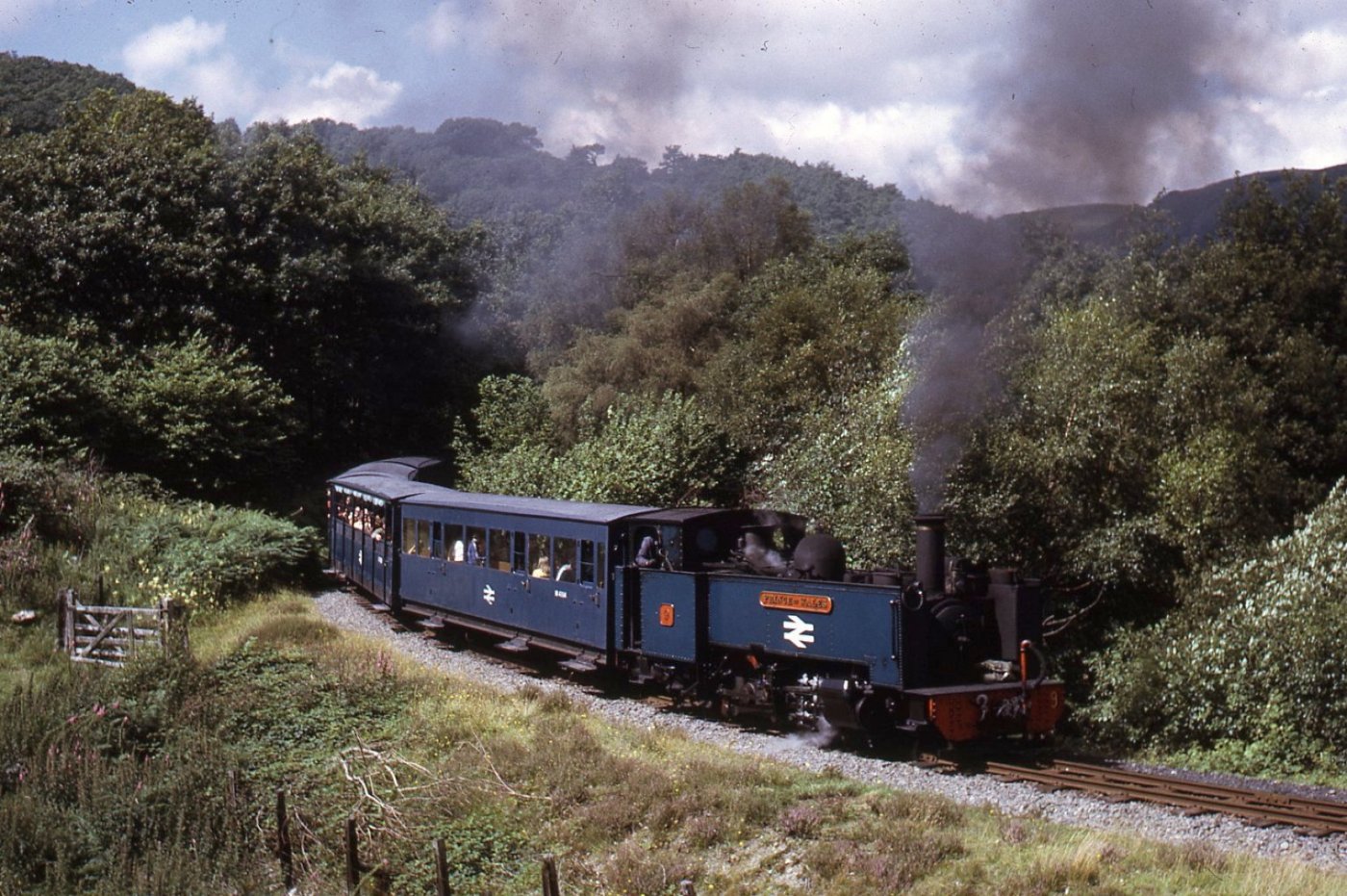 Vale of Rheidol Railway - Steam Festival