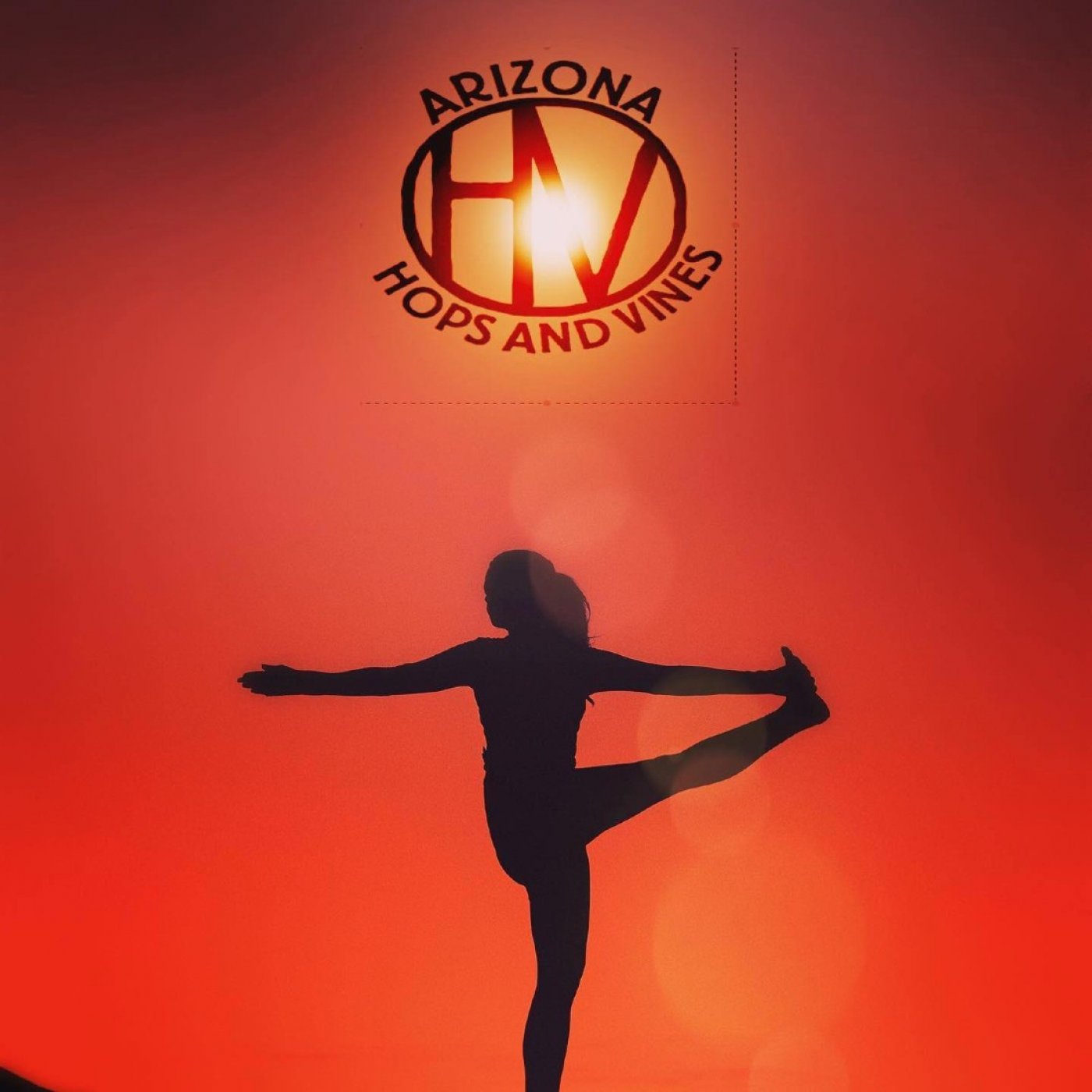 Harmony & Harvest:  Yoga, Sound Bath, Wine & Charcuterie