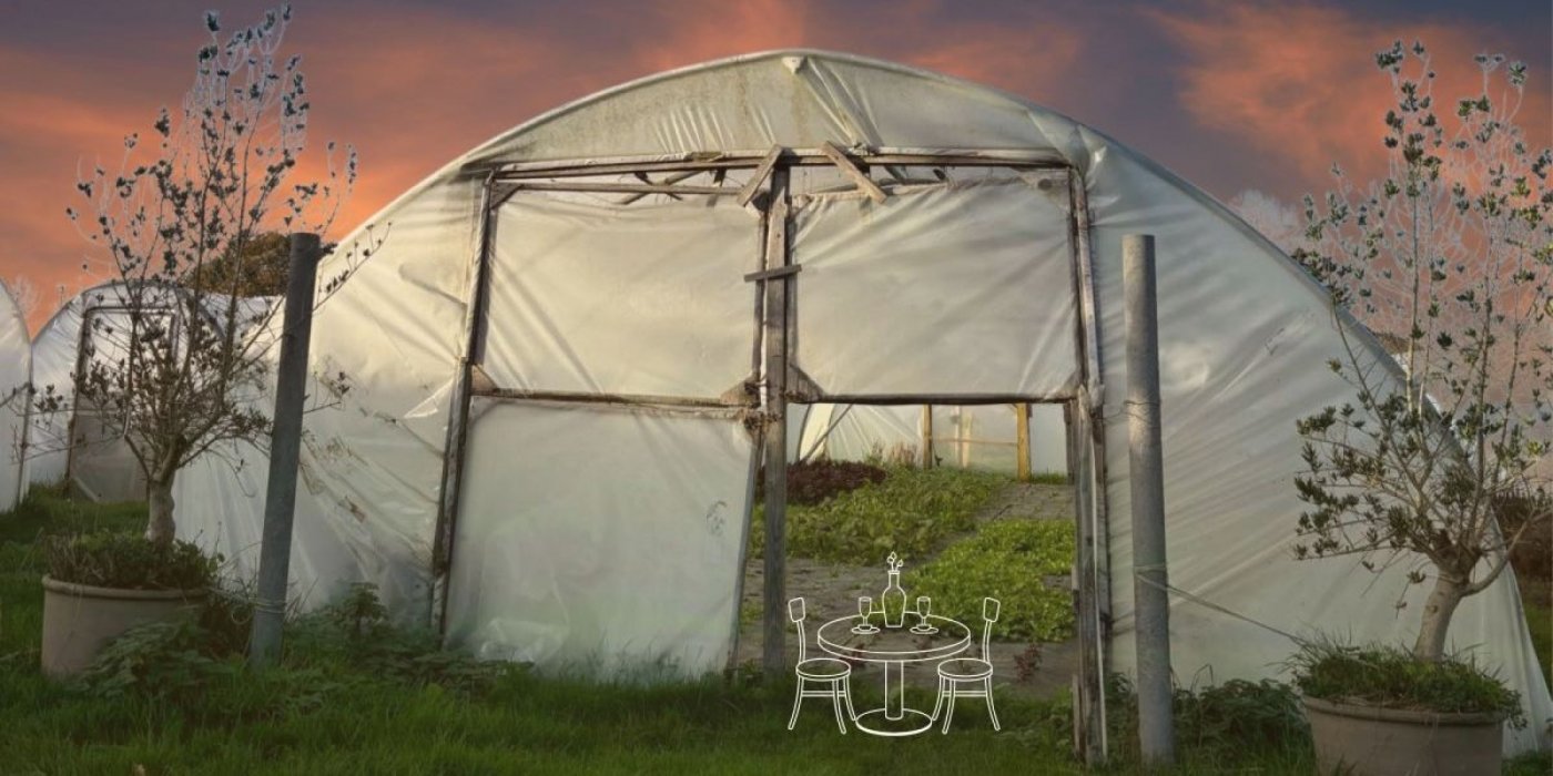 From Tunnel to Table