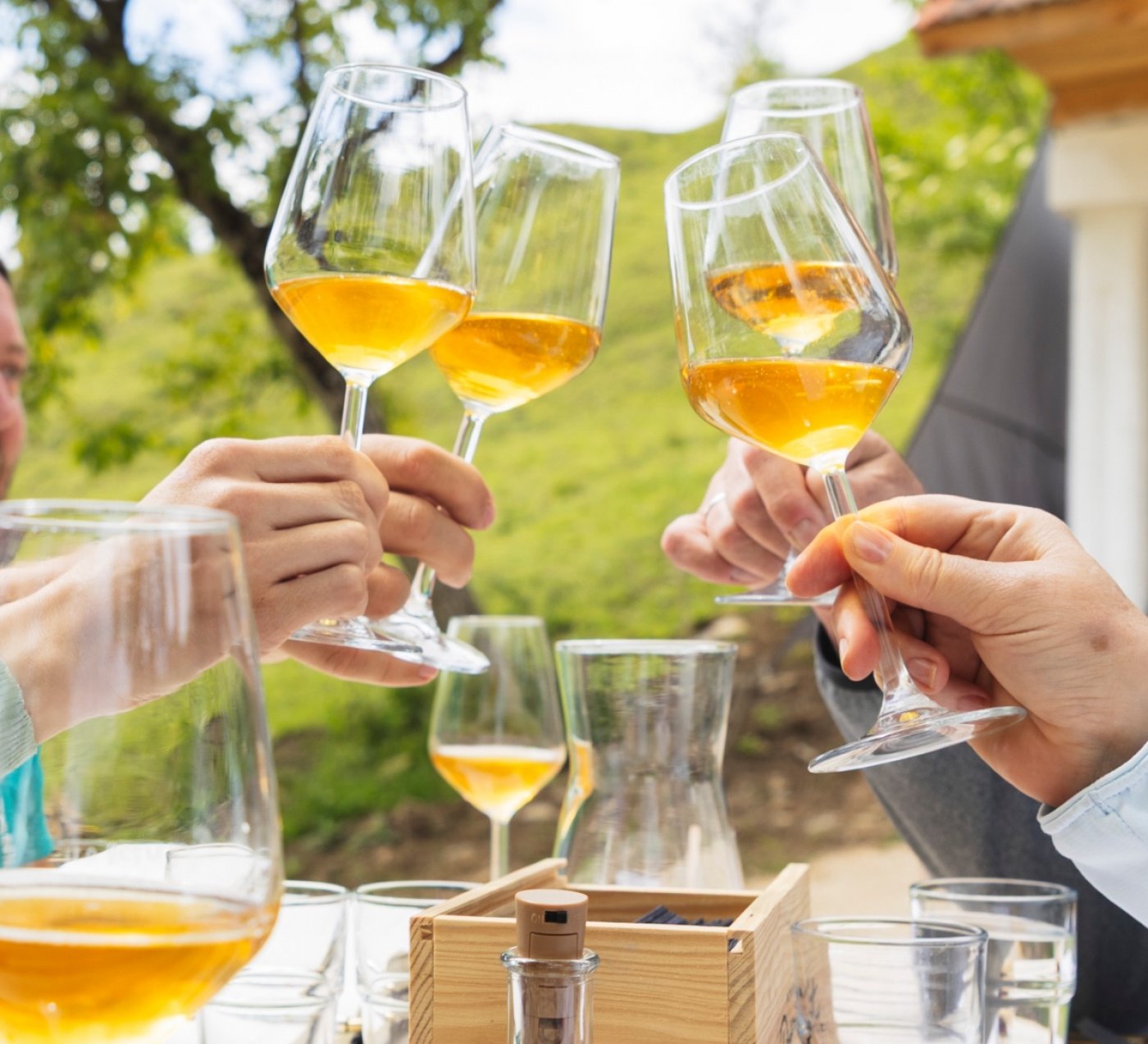 Fine Cider Tasting