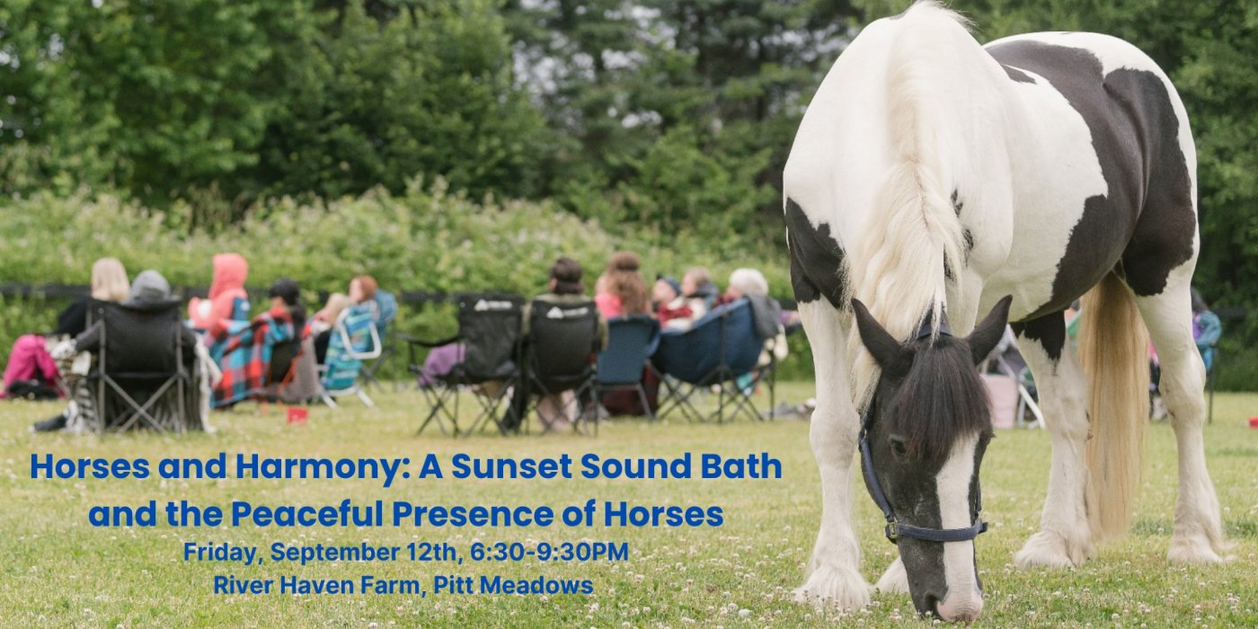 Horses and Harmony: A Sunset Sound Bath and the Peaceful Presence of Horses