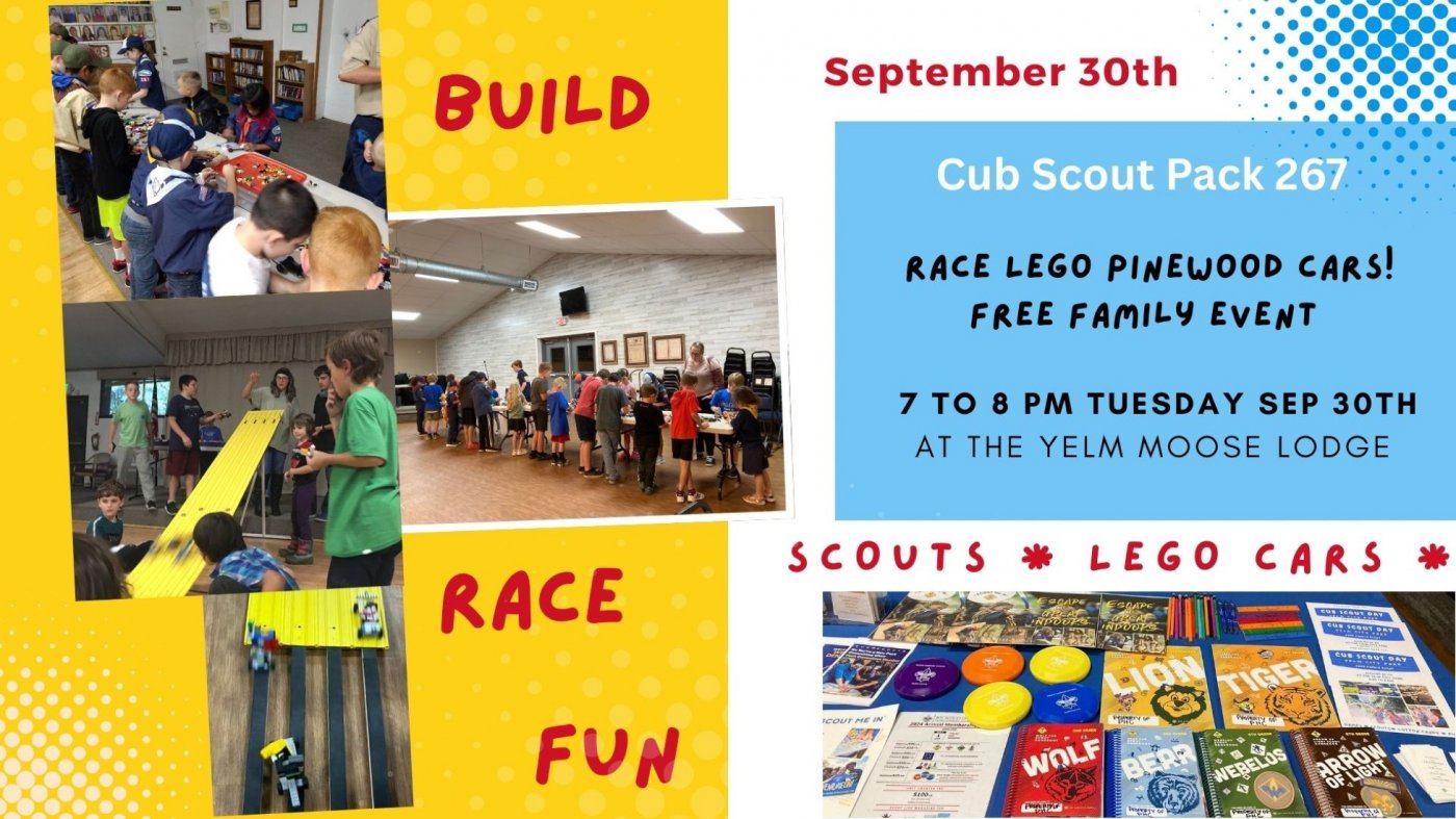 LEGO Pinewood Cub scout Join Night