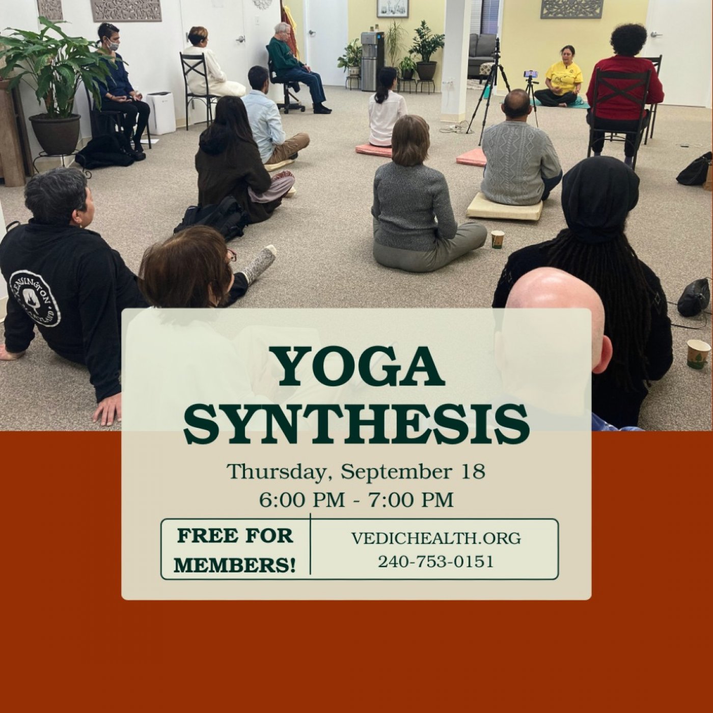 Yoga Synthesis Class