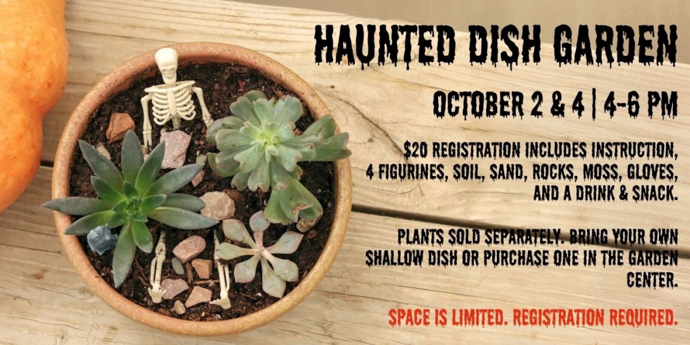 Haunted Dish Garden