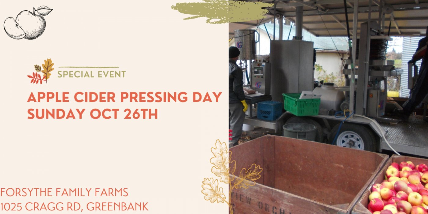 Apple Cider Pressing Day