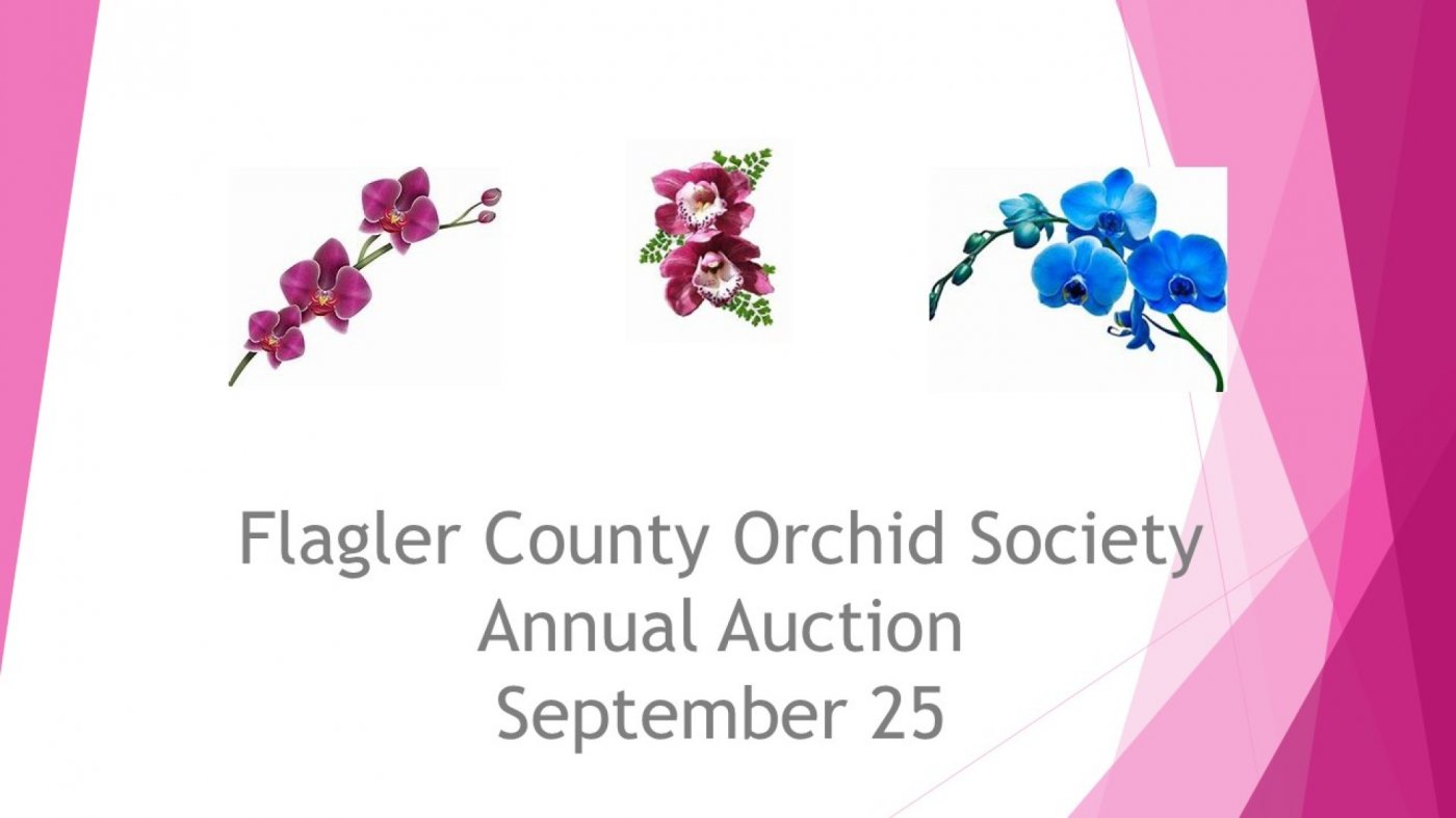 FLAGLER COUNTY ORCHID SOCIETY ANNUAL AUCTION