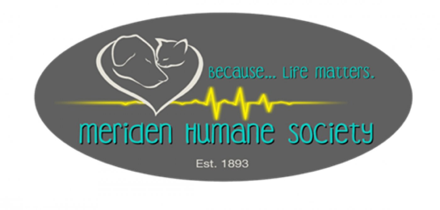 9th Annual Meriden Humane Society - Heartfelt Messages with Vanessa Lynn (Psychic\/Medium)
