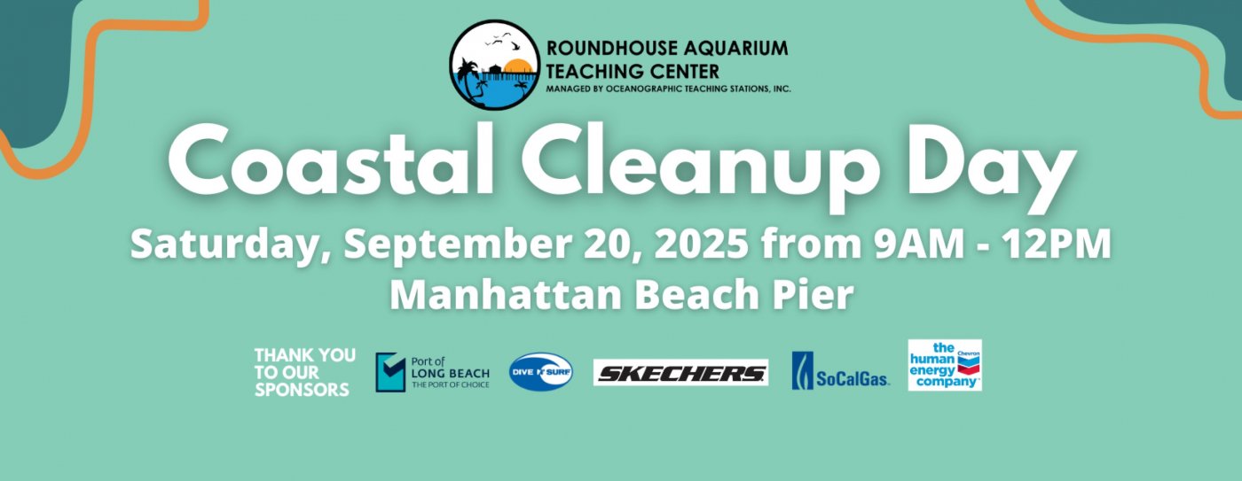 Participate in Coastal Cleanup Day 2025 with Roundhouse Aquarium!