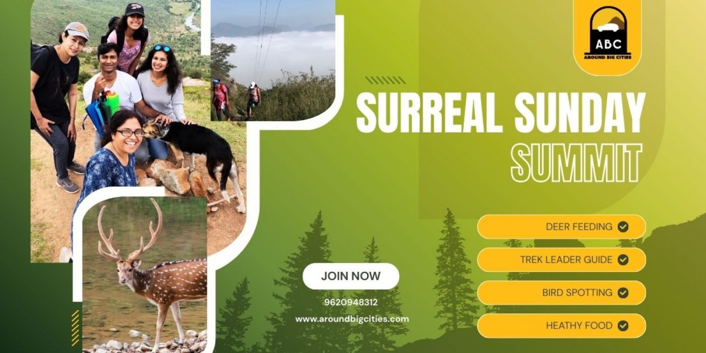 Surreal Sunday Summit > Deer Feeding > Bangalore Karnataka