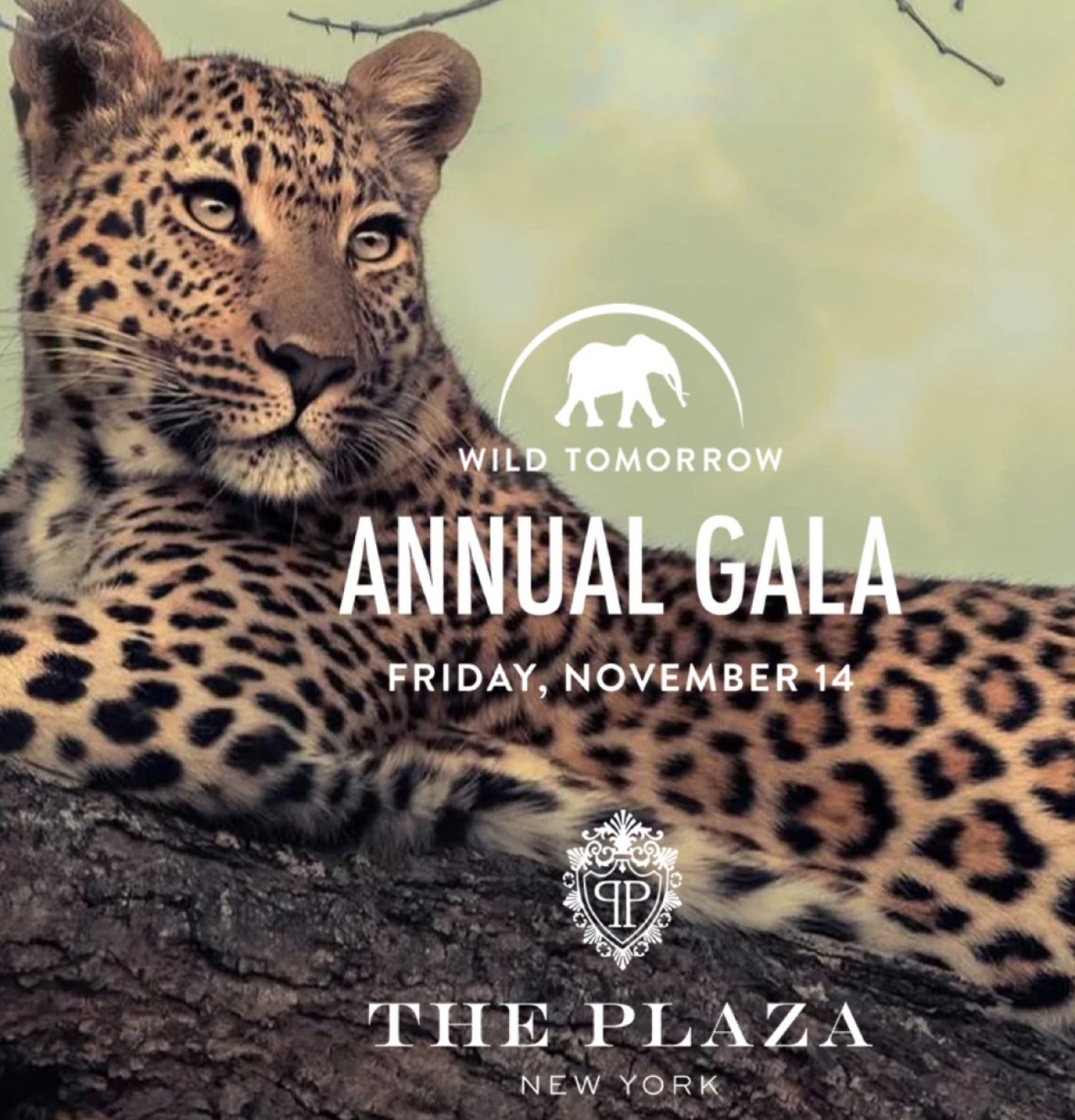 Wild Tomorrow Annual Fundraising Gala