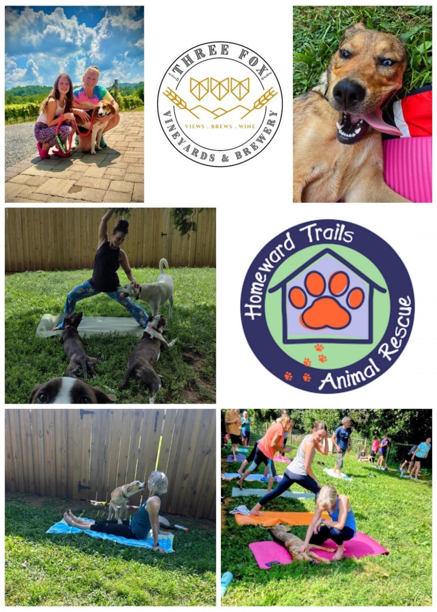 Dog Yoga ~ Poses with Pups