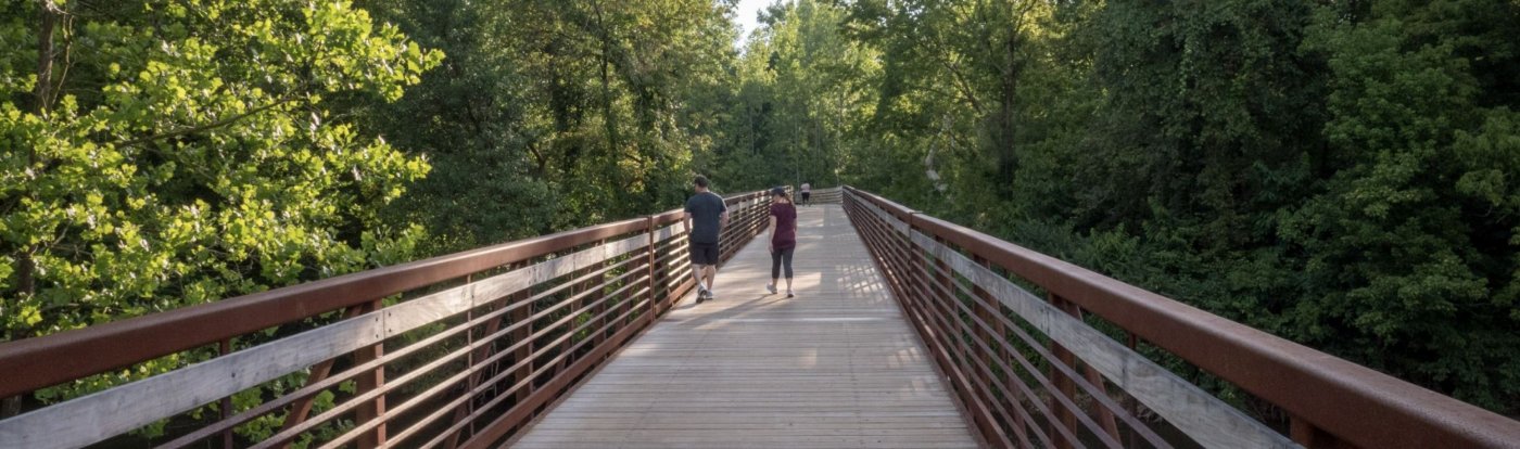 Guided fall walk through Creekside Park