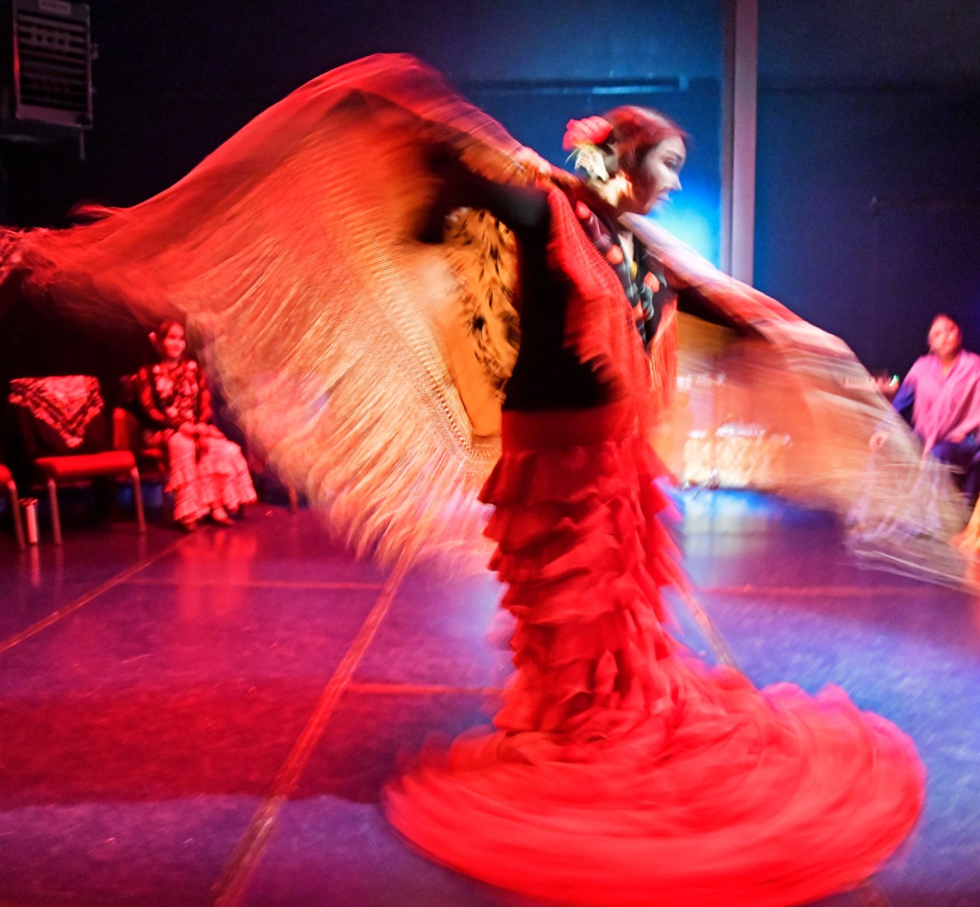 Flamenco Fiesta de Santa Fe 2025 Fall - Mariposa del Aire (Butterfly of the Air)