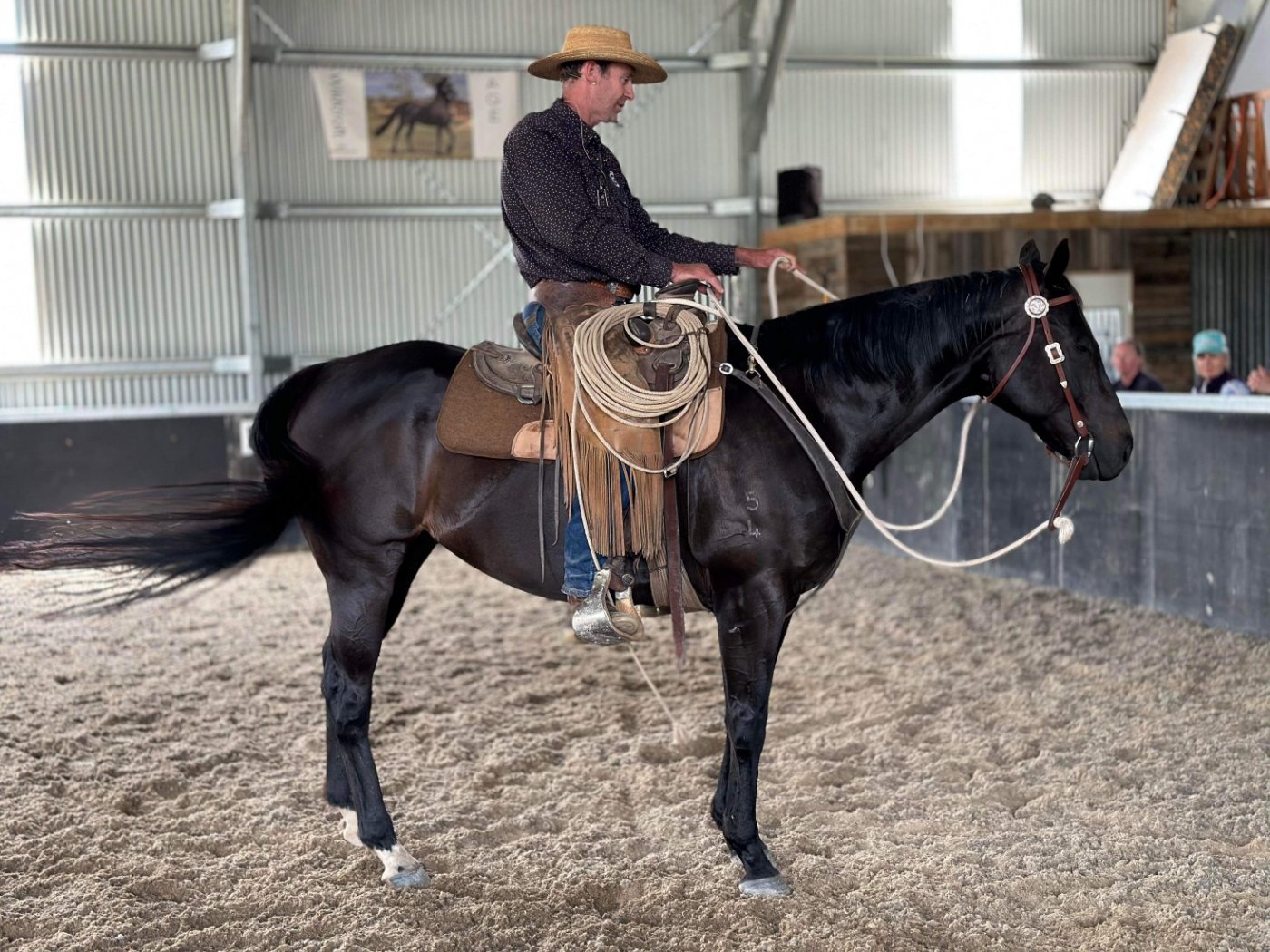 Allan Collett Horsemanship