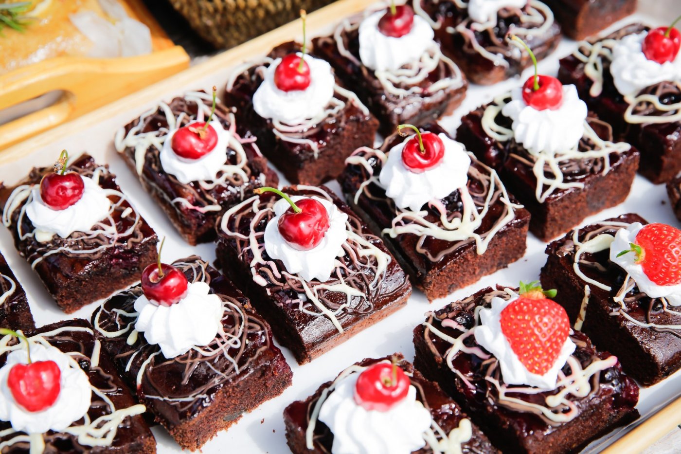 Essex Vegan Festival