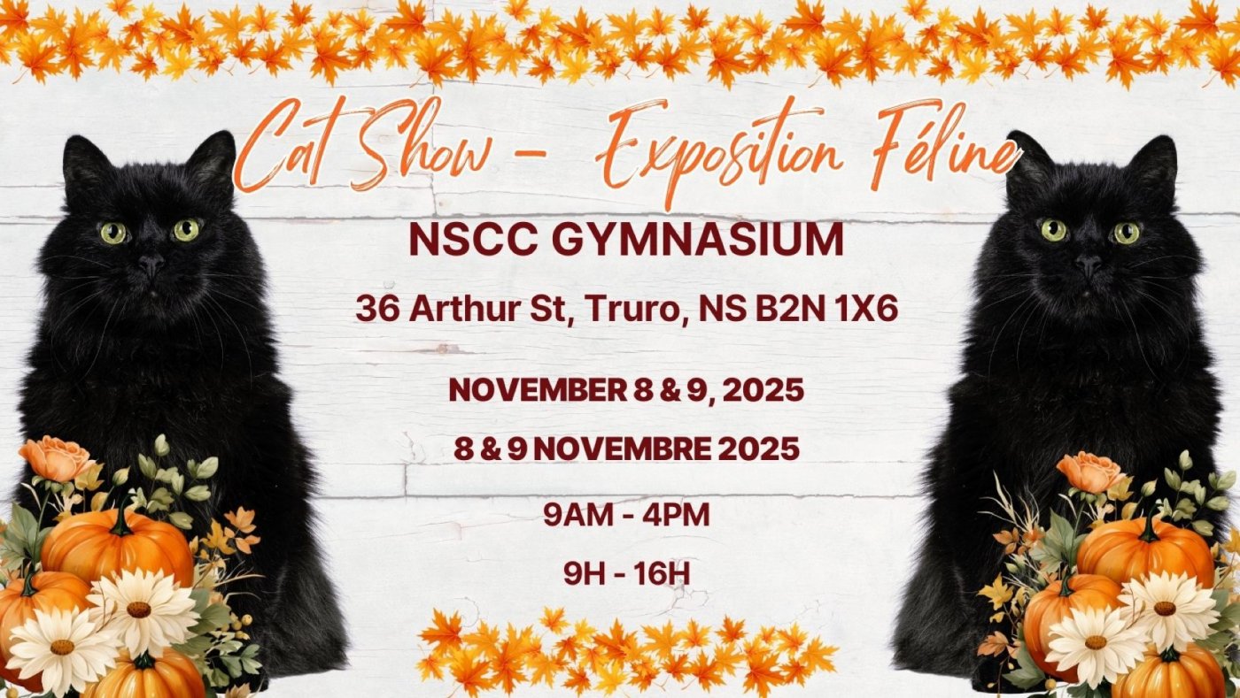 Fundy Fanciers Truro Cat Show