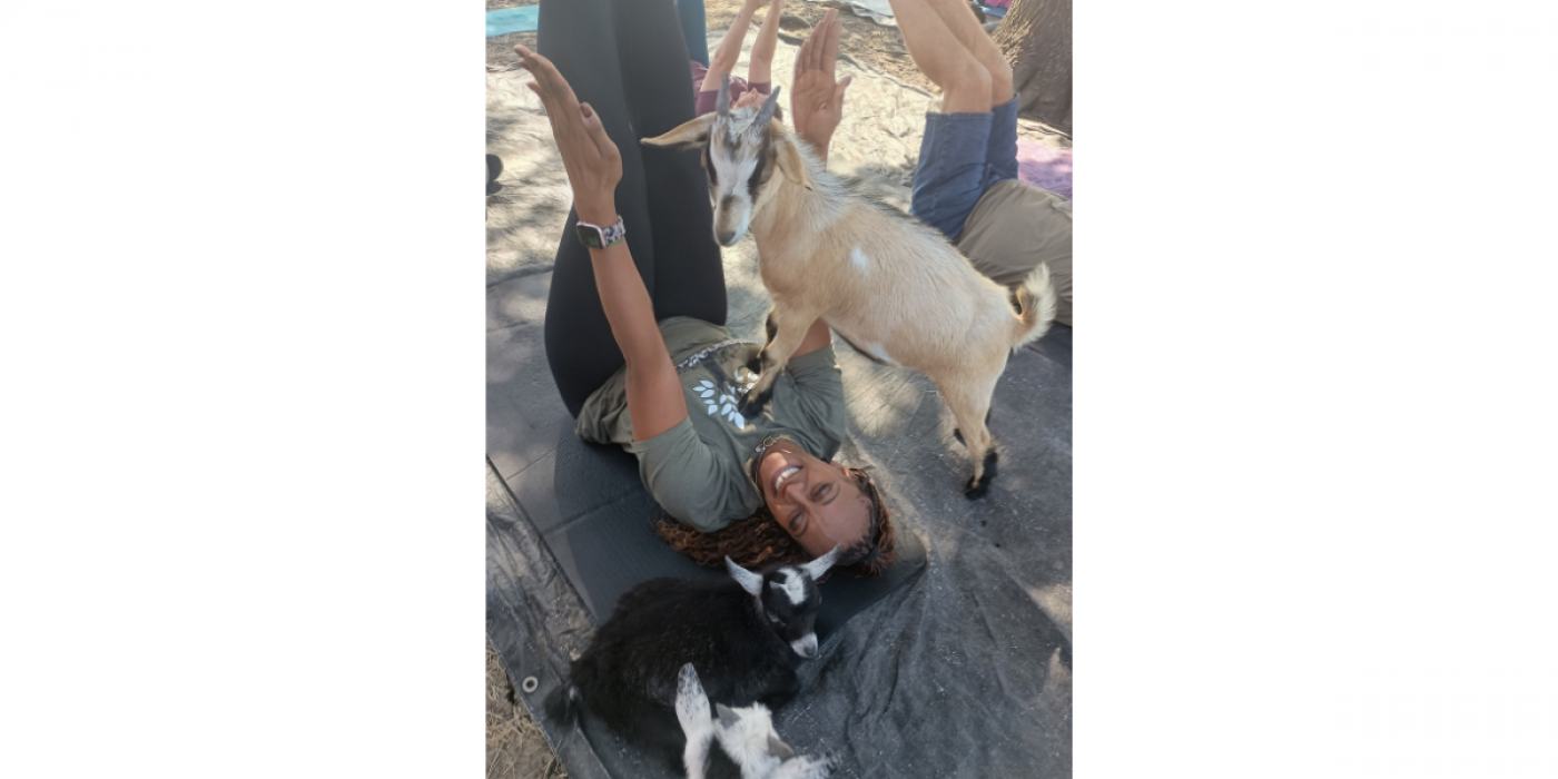 Goat Yoga Outside at Lakewood Brewing Company in Garland