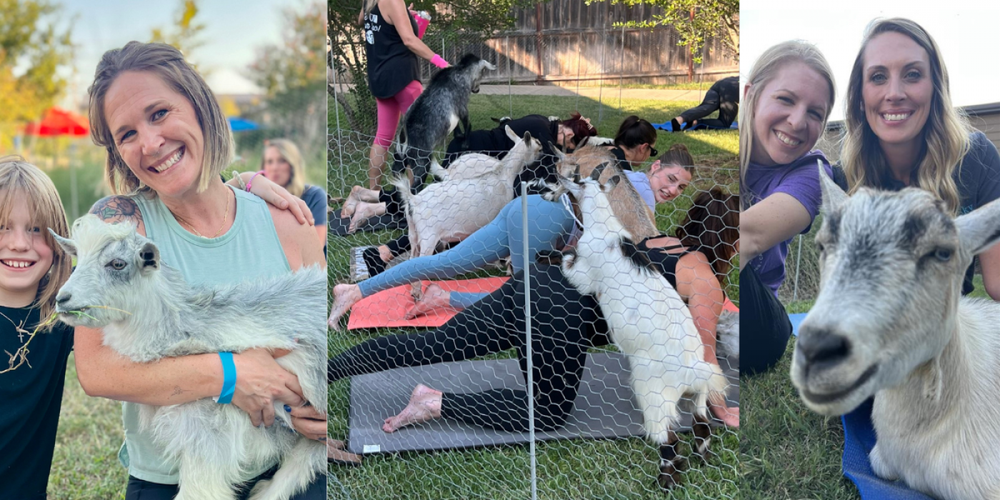 Goat Yoga Outside on the Farm in McLendon Chisholm Rockwall County - bring your own mat