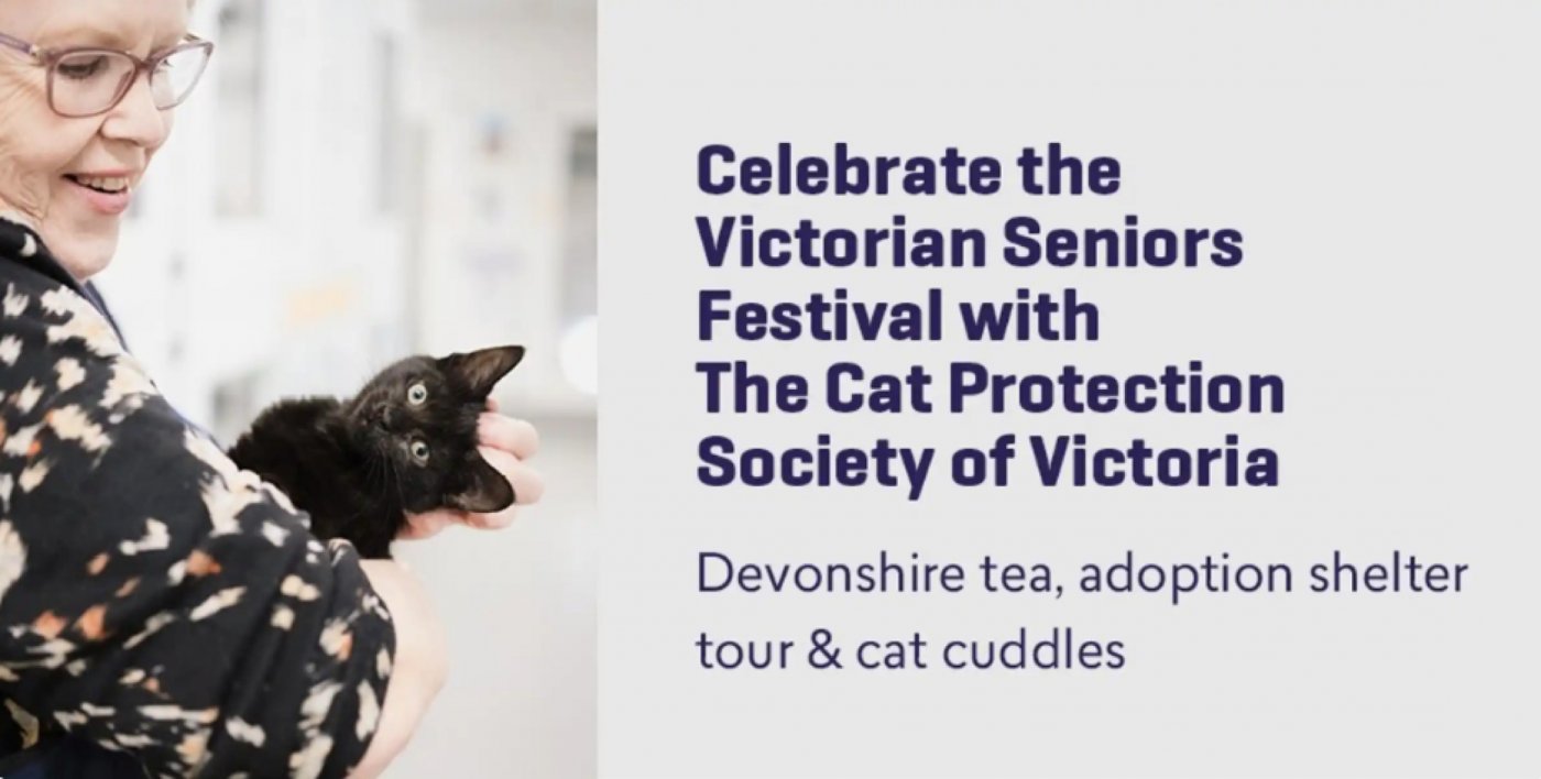 Seniors: Tour, Tea & Cuddles