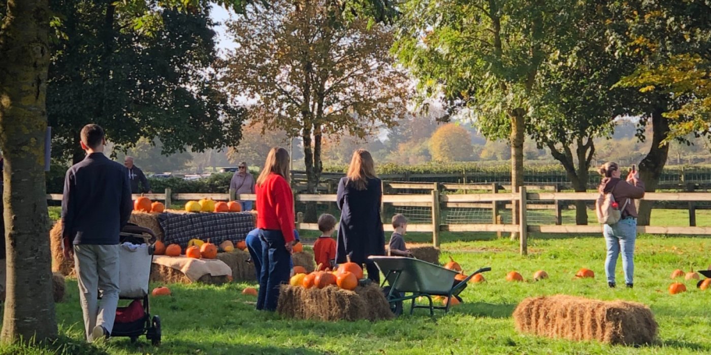 Harvest on the Farm