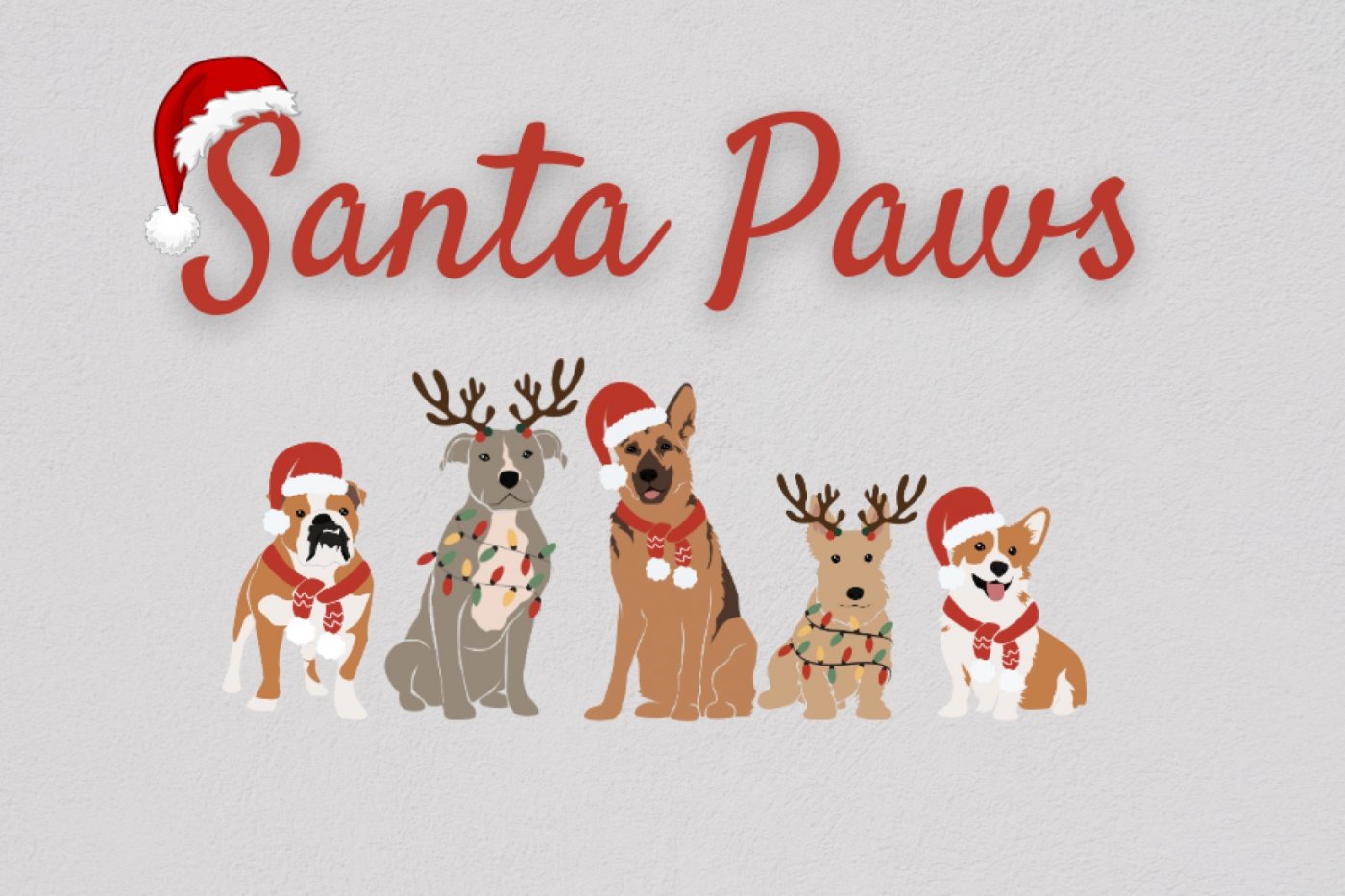 Santa Paws at Newbridge House