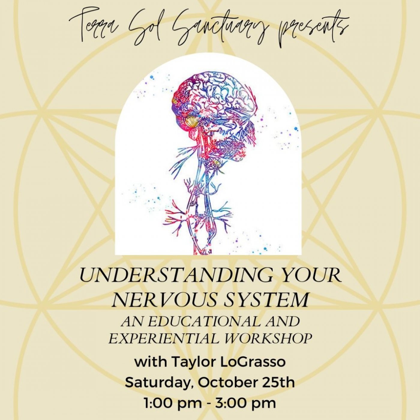 Understanding Your Nervous System - A 2hr Educational and Experiential Workshop