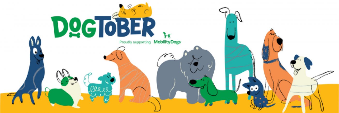 Mobility Dogs trainer sharing training tips at the Farmers Market, Innes Common for Dogtober