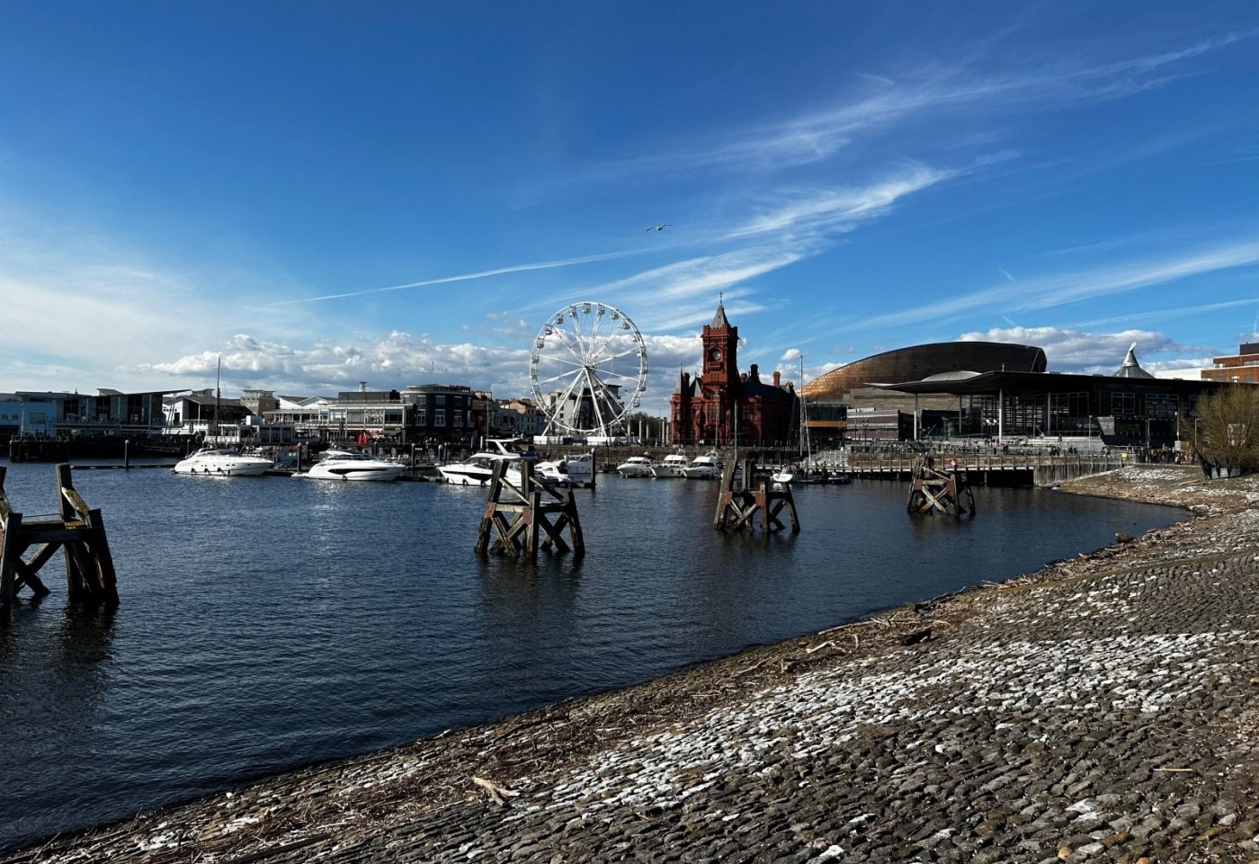 Smartphone In Person Photography Workshop