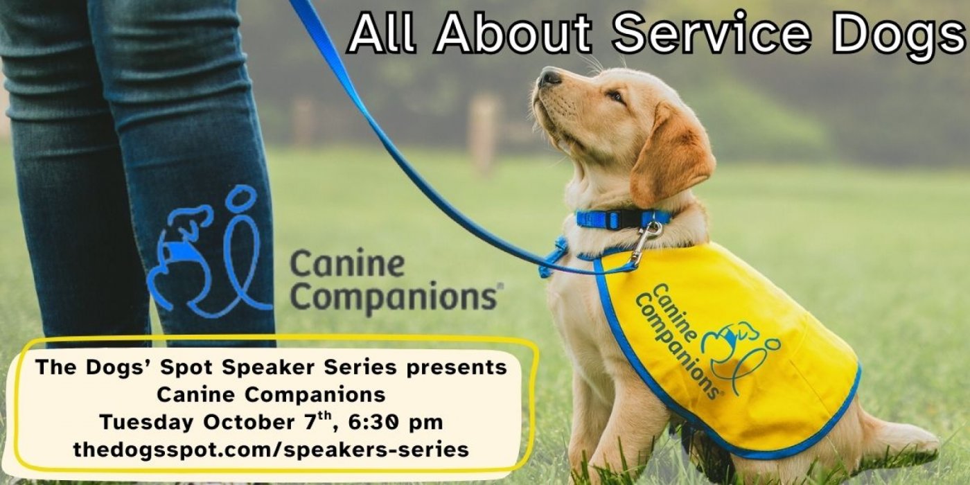 All About Service Dogs - Canine Companions