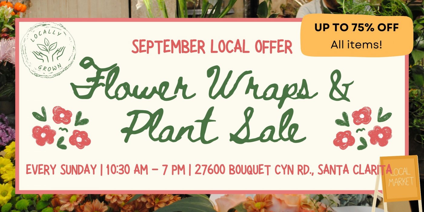 Sunday Outdoor Market Plant and Flower Wrap Sale