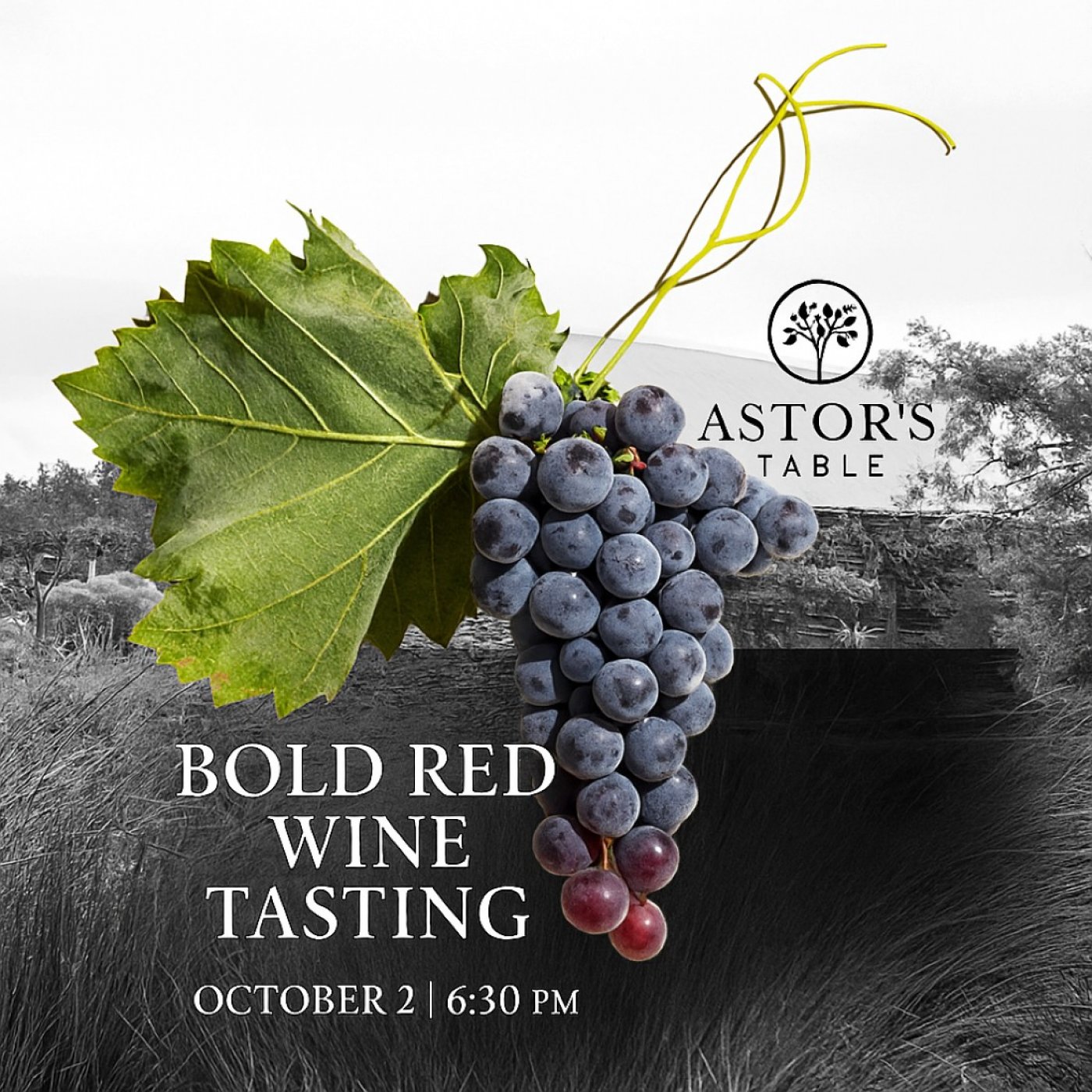 \ud83c\udf77 Bold Red Wine Tasting 