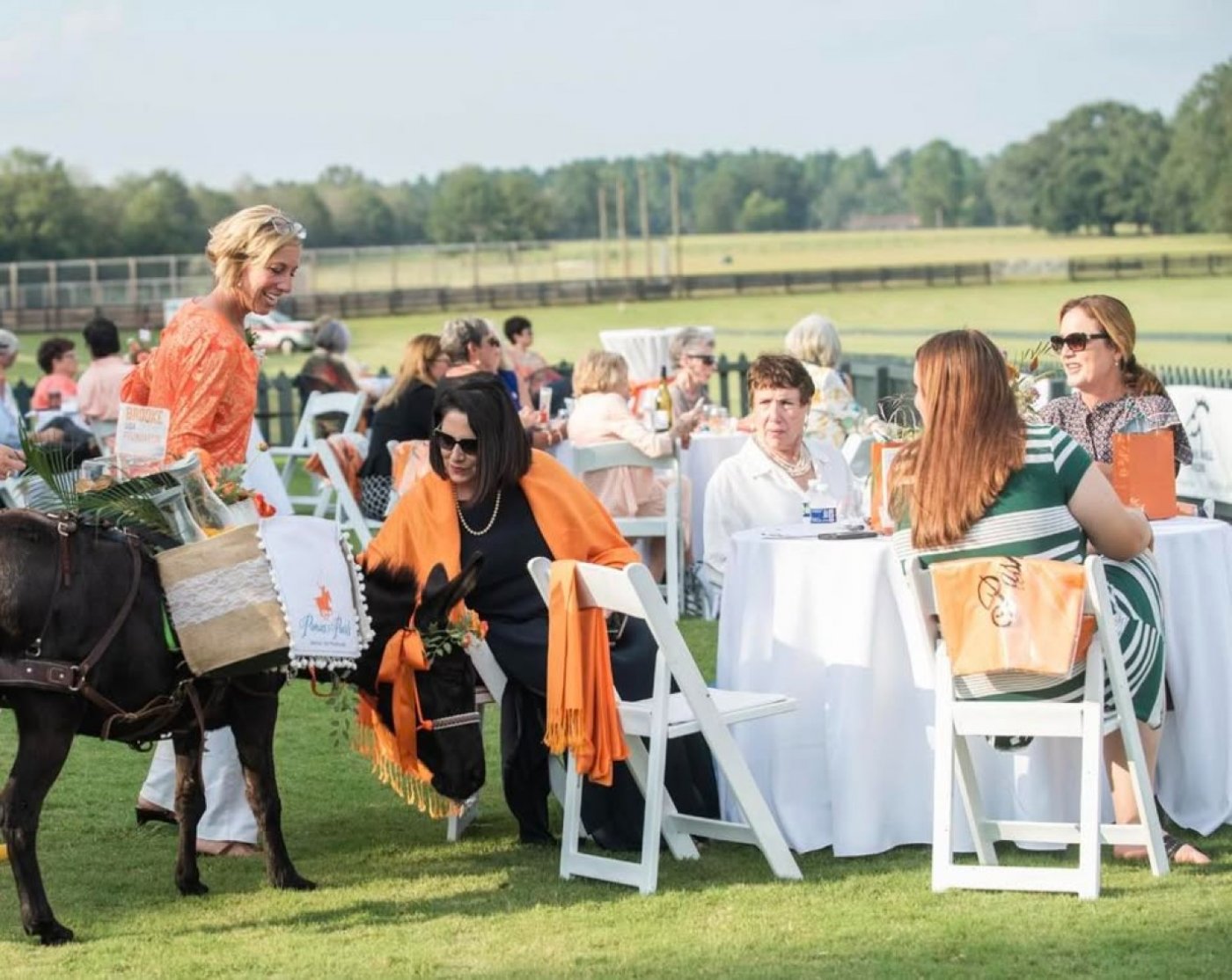 Brooke USA\u2019s 4th Annual Ponies & Pearls 