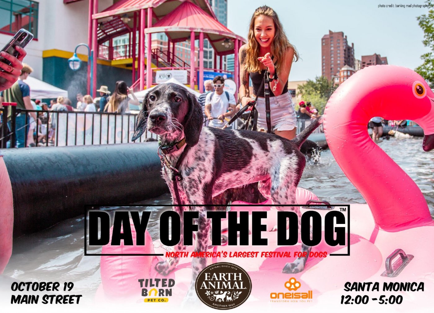 The Day of the Dog Festival