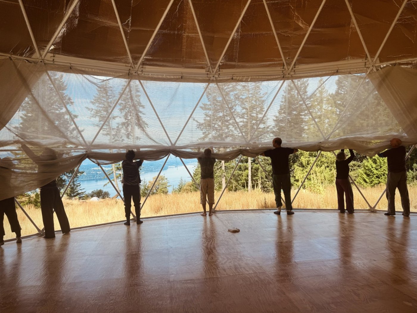 Waiting for the Weight: Sequencing Tension and Release While Dancing