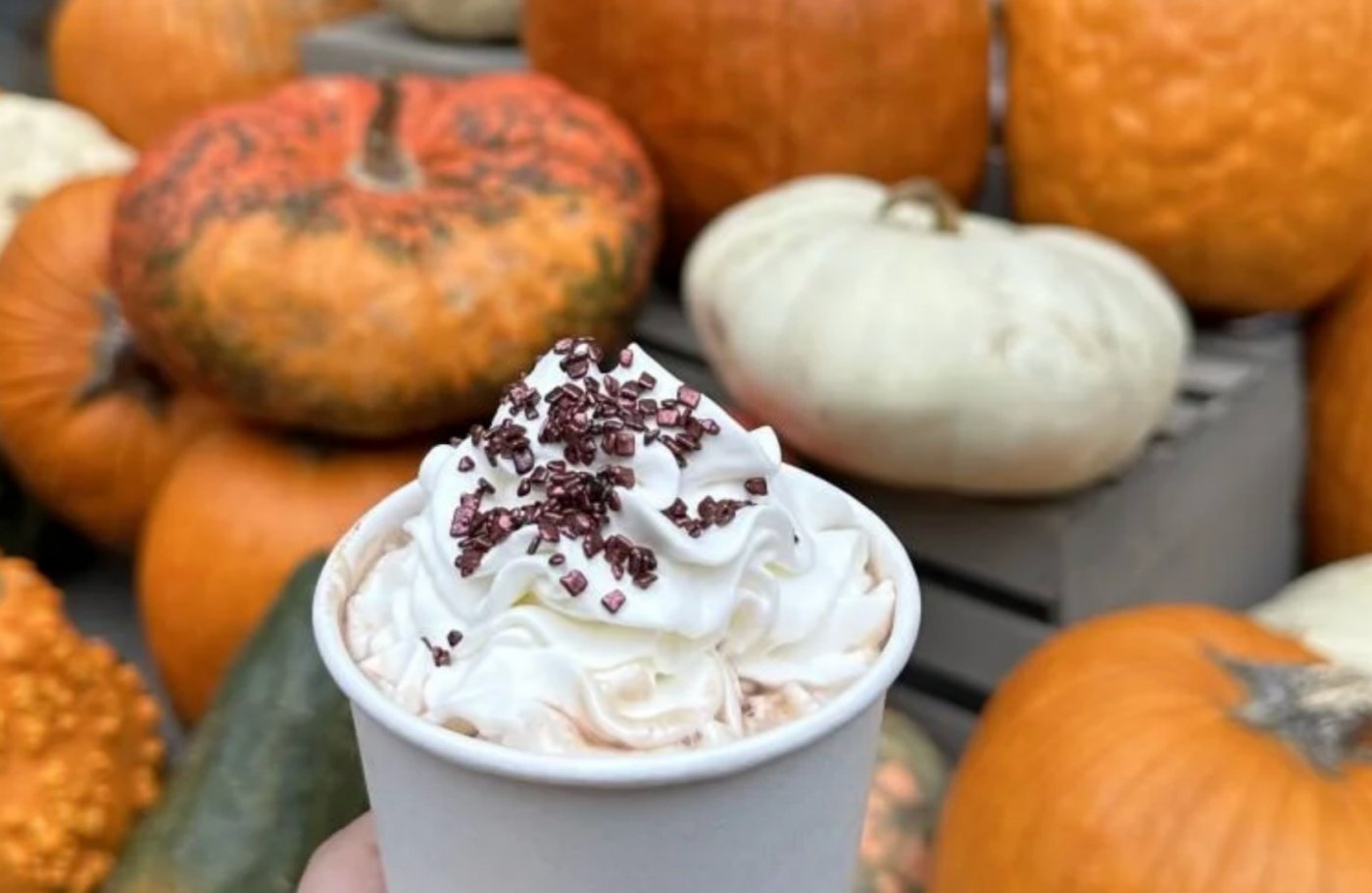 Annual Pumpkin Patch 
