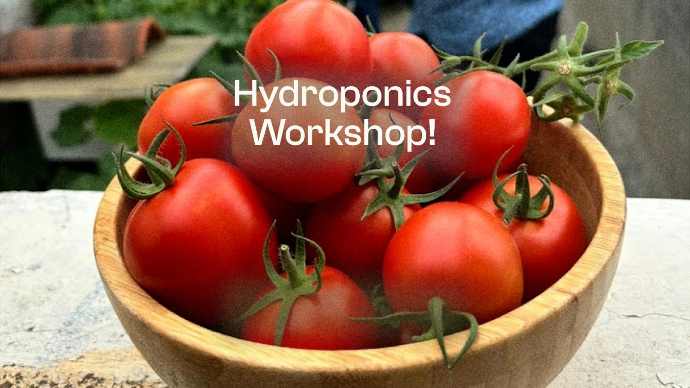 UrbanGro Hydroponics 101