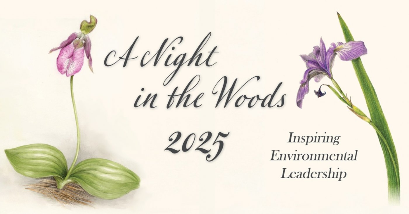 Teatown\u2019s A Night in the Woods Annual Gala