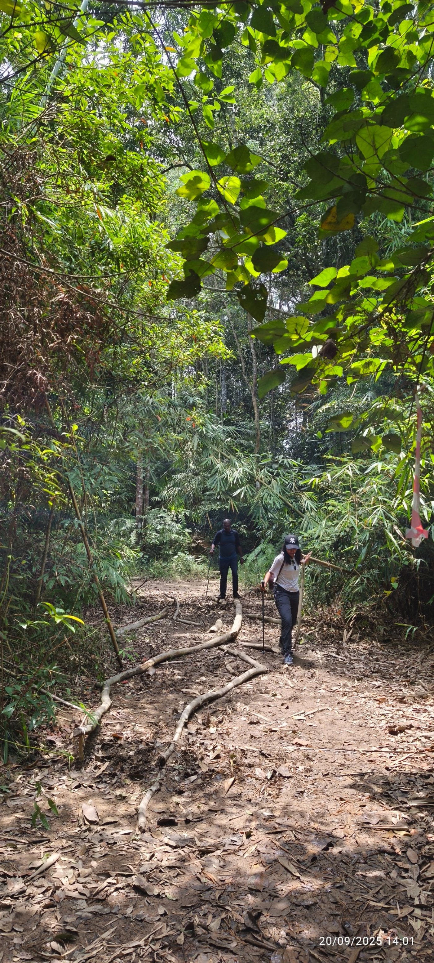 Gunung ledang Day hike