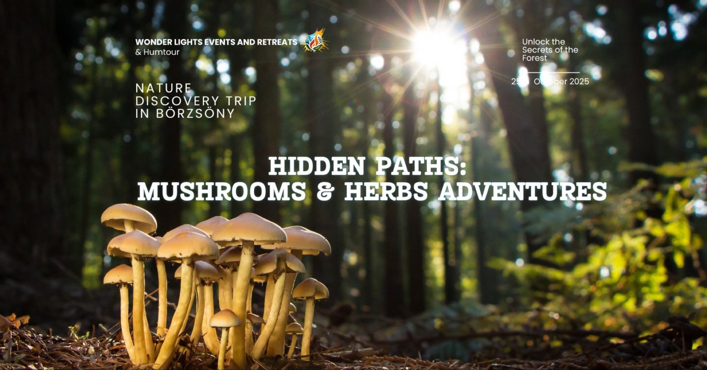 Hidden Paths: Mushrooms & Herbs Adventures